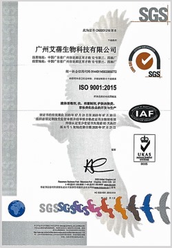 ISO9001认证